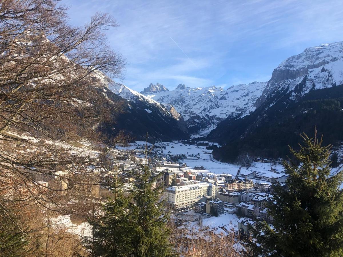 Nice Apartment Private Host Engelberg Esterno foto